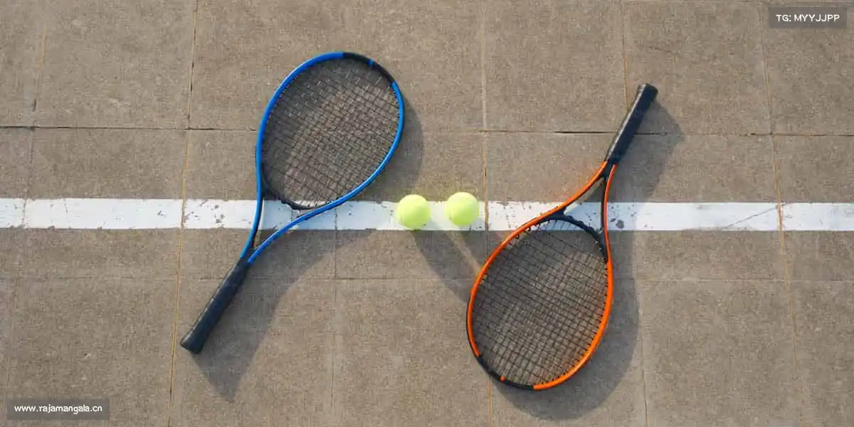 行业领先的理由